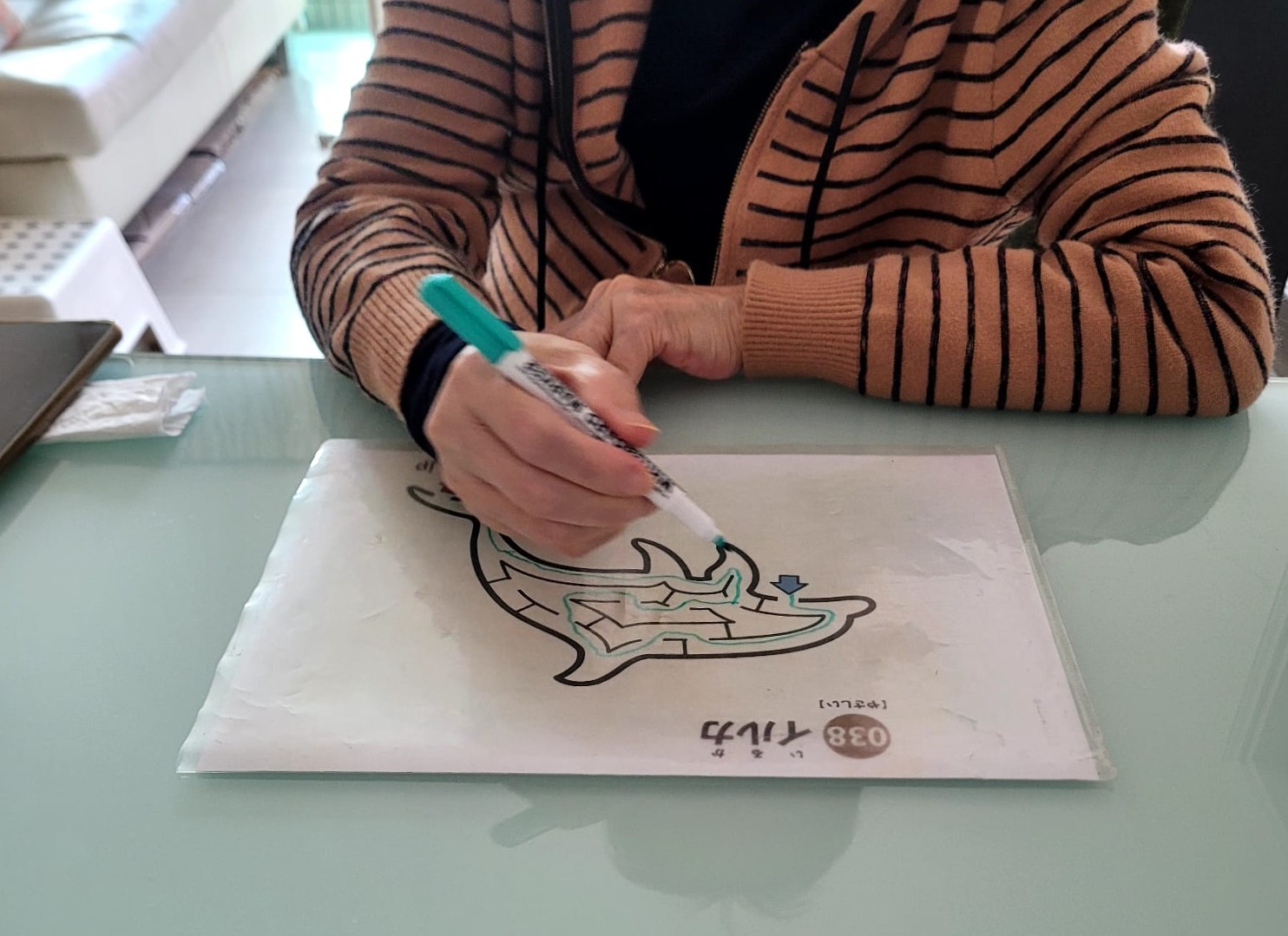 服务使用者案例: 认知障碍症患者，女儿已移居外地