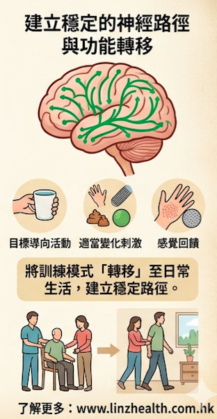 Neuroplasticity: The Brain's Ability to Adapt and Reorganize